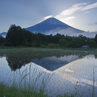 平成棚田1