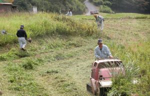 伊賀　西山の棚田5