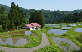 横倉1