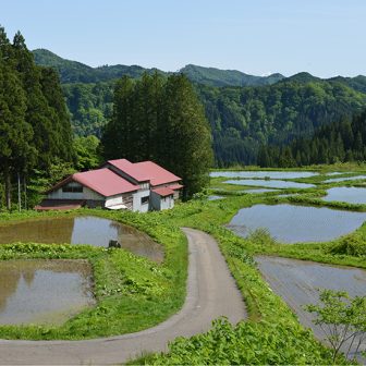 横倉1