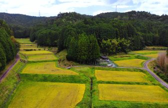 千万町棚田