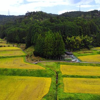 千万町棚田
