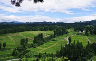 三ツ山の棚田