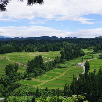 三ツ山の棚田