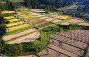 三桶の棚田