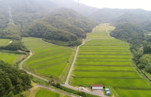 菅浜棚田