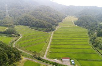 菅浜棚田