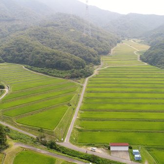 菅浜棚田