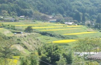 山室棚田２
