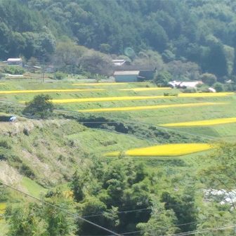 山室棚田２