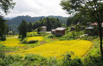 菅刈の棚田