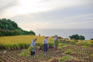 北片辺（新潟県佐渡市）