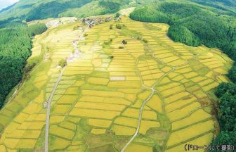 高橋の棚田