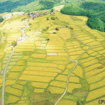 高橋の棚田