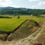 岩見沢棚田1