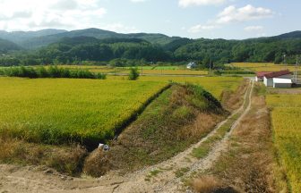 岩見沢棚田1