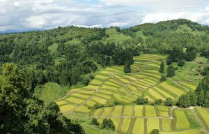 慶地の棚田