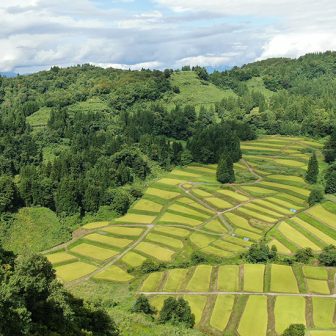 慶地の棚田