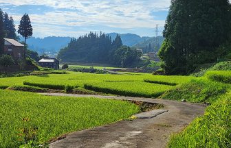 小荒戸の棚田