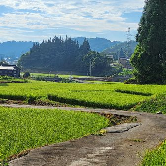 小荒戸の棚田