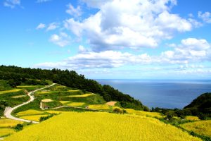 片野尾（新潟県佐渡市）