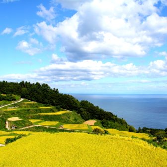 片野尾（新潟県佐渡市）