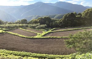 中尾棚田１
