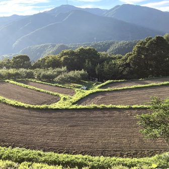 中尾棚田１