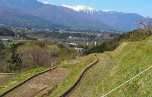 飯沼棚田1