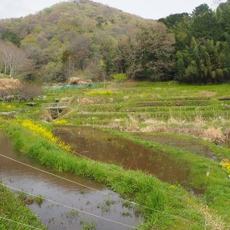 名古木の棚田