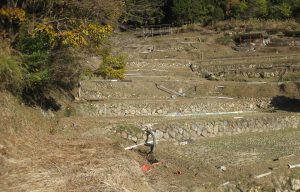 白樫の棚田．稲刈り後の風景