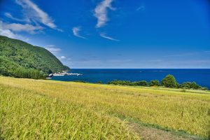 歌見（新潟県佐渡市）