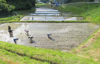 東和の布沢