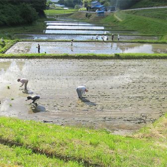 東和の布沢