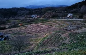 西谷棚田1＿イルネーション