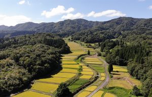 鍬江の棚田