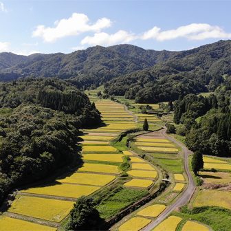 鍬江の棚田