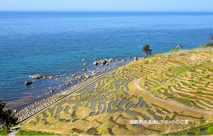 白米千枚田＿地震前