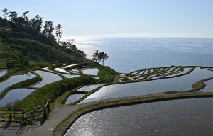 白米千枚田3