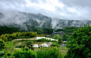 中田の棚田-復田した田んぼ