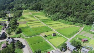 河原山の棚田群