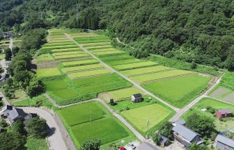 河原山の棚田群