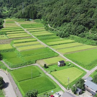 河原山の棚田群