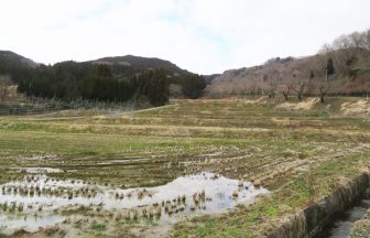 胡桃棚田1
