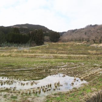 胡桃棚田1