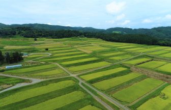 神子原地区棚田群_