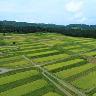 神子原地区棚田群_