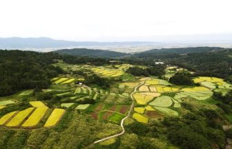 筒方地区の棚田群
