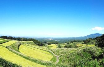 名水「大出口泉水」流れる棚田群T済
