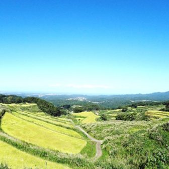 名水「大出口泉水」流れる棚田群T済